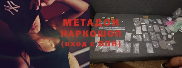 сатива Бородино