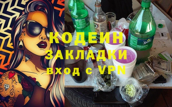 сатива Бородино