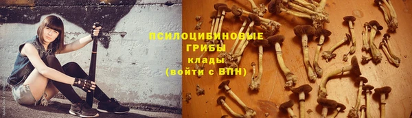 бошки Волосово