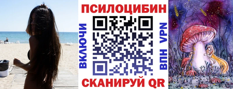 Псилоцибиновые грибы Psilocybe  Купить где  Макарьев 